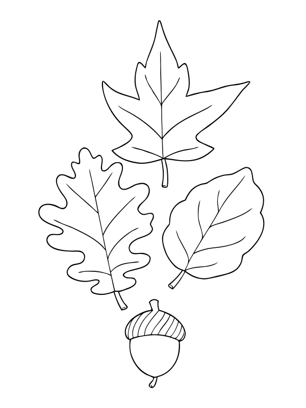 Real autumn coloring page 1 for a home booklet