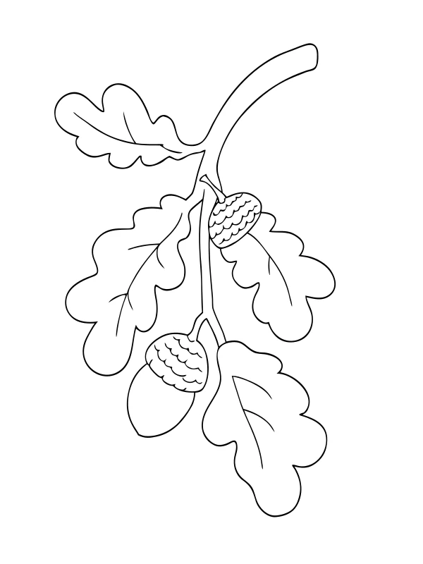 AI-generated black-and-white coloring page of oak branch with leaves and acorns